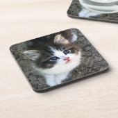 CUTE Kitten Portret Drankjes Onderzetter (Linkerzijde)