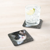 CUTE Kitten Portret Drankjes Onderzetter (Rechterzijde)