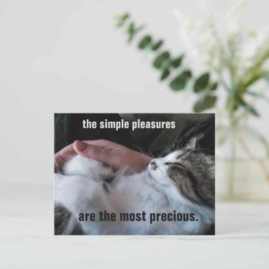Cute Kitten Quote Simple Plezier  Briefkaart (Staand voorkant)