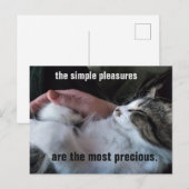 Cute Kitten Quote Simple Plezier  Briefkaart (Voorkant / Achterkant)
