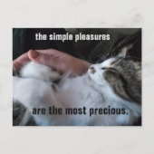 Cute Kitten Quote Simple Plezier  Briefkaart (Voorkant)