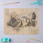Cute Kitten Retro Cat Drawing Tissuepapier (Craft)