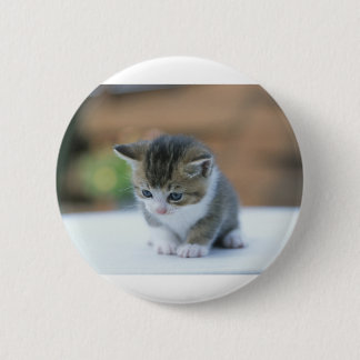 Cute Kitten Ronde Button 5,7 Cm