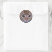 Cute Kitten Ronde Sticker (Tas)