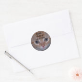 Cute Kitten Ronde Sticker (Envelop)