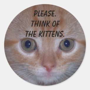 Cute Kitten Ronde Sticker