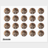 Cute Kitten Ronde Sticker (Vel)