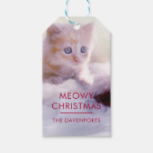Cute Kitten rust op een kerstman met kerstmis Cadeaulabel (Voorkant)