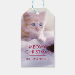 Cute Kitten rust op een kerstman met kerstmis Cadeaulabel