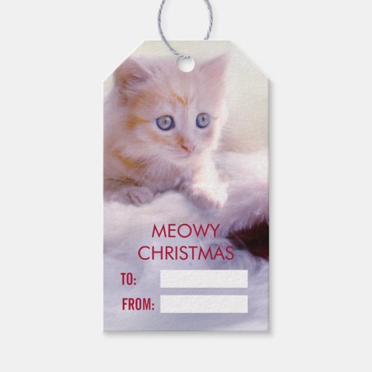 Cute Kitten rust op een kerstman met kerstmis Cadeaulabel (Voorkant)