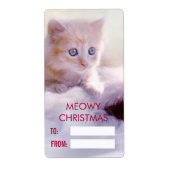 Cute Kitten rust op een kerstman met kerstmis Etiket (Voorkant)