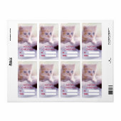 Cute Kitten rust op een kerstman met kerstmis Etiket (Full Sheet)
