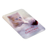 Cute Kitten rust op een kerstman met kerstmis Magneet (Rechterzijde)