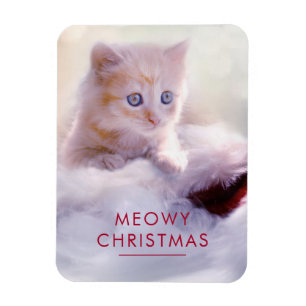 Cute Kitten rust op een kerstman met kerstmis Magneet