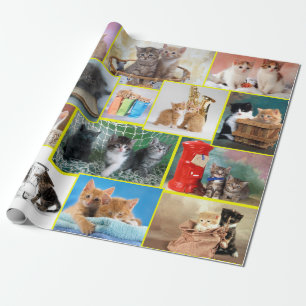 Cute kitten samenstelling cadeaupapier