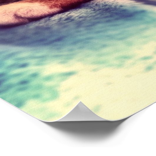 Cute kitten slapen poster (Hoek)