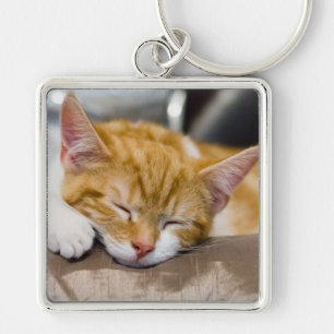 Cute Kitten Sleutelhanger