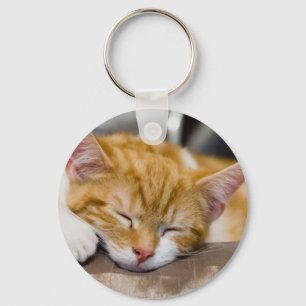 Cute Kitten Sleutelhanger