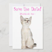 Cute Kitten sparen de Mededelingen van de Datum Save The Date (Voorkant)