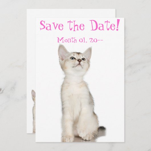Cute Kitten sparen de Mededelingen van de Datum Save The Date (Voorkant / Achterkant)