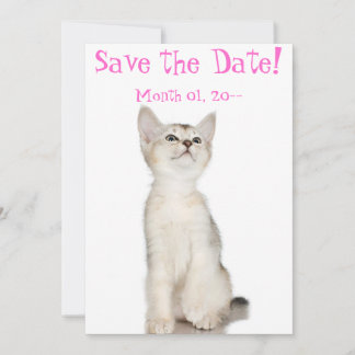 Cute Kitten sparen de Mededelingen van de Datum Save The Date