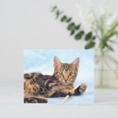Cute kitten spelen briefkaart (Staand voorkant)