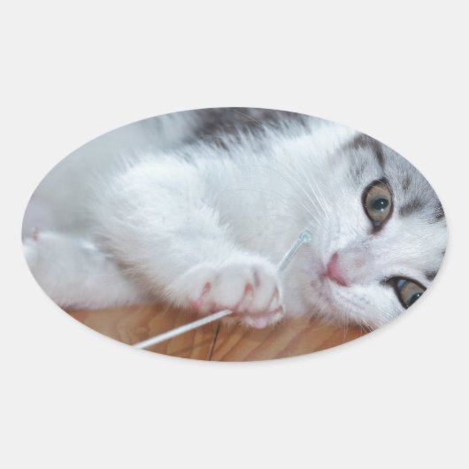 Cute Kitten spelen met string Ovale Sticker (Voorkant)