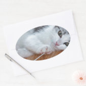 Cute Kitten spelen met string Ovale Sticker (Envelop)