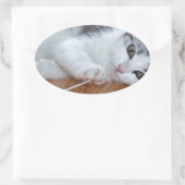 Cute Kitten spelen met string Ovale Sticker (Tas)