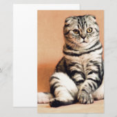 Cute Kitten Sprawout Briefpapier (Voorkant / Achterkant)
