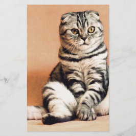 Cute Kitten Sprawout Briefpapier