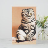 Cute Kitten Sprawout Briefpapier (Staand voorkant)