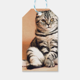 Cute Kitten Sprawout Cadeaulabel