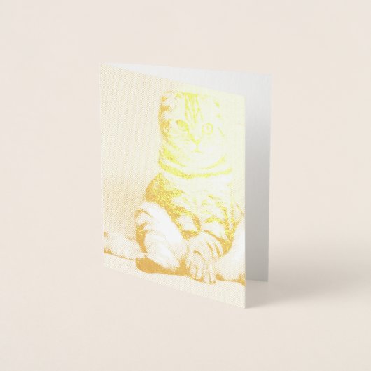 Cute Kitten Sprawout Folie Kaarten (Voorkant)