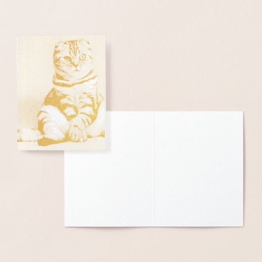 Cute Kitten Sprawout Folie Kaarten (Display)