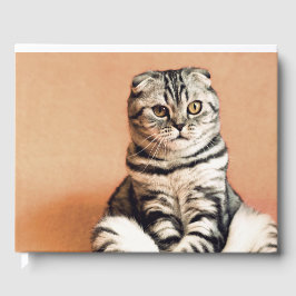 Cute Kitten Sprawout Gastenboek