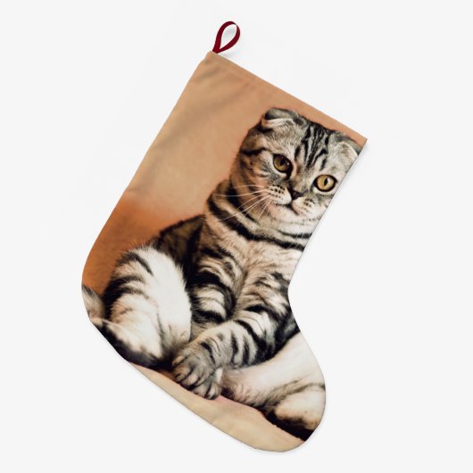 Cute Kitten Sprawout Grote Kerstsok (Voorkant (Hangend))