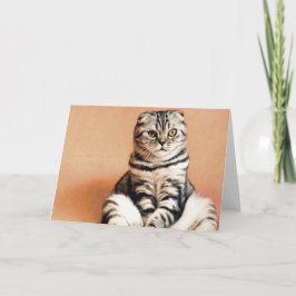 Cute Kitten Sprawout Kaart