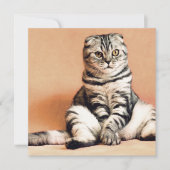 Cute Kitten Sprawout Kaart (Voorkant)