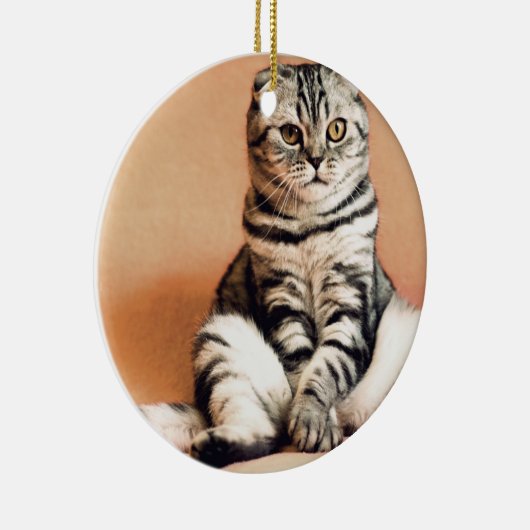 Cute Kitten Sprawout Keramisch Ornament (Rechts)