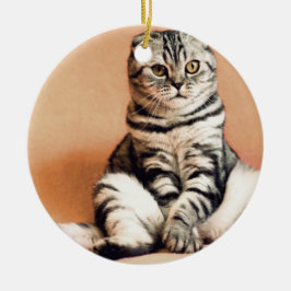 Cute Kitten Sprawout Keramisch Ornament