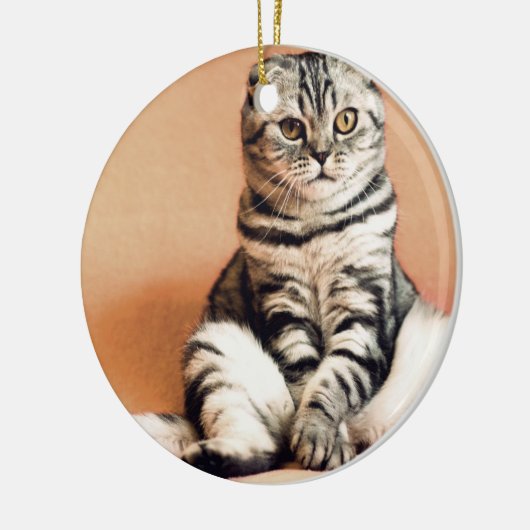 Cute Kitten Sprawout Keramisch Ornament (Links)