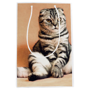 Cute Kitten Sprawout Medium Cadeauzakje