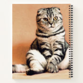 Cute Kitten Sprawout Notitieboek (Achterkant)