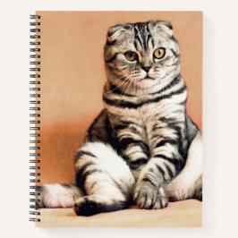 Cute Kitten Sprawout Notitieboek