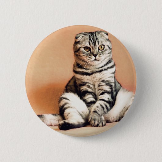 Cute Kitten Sprawout Ronde Button 5,7 Cm (Voorkant)