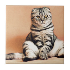 Cute Kitten Sprawout Tegeltje