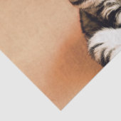 Cute Kitten Sprawout Tissuepapier (Detail)