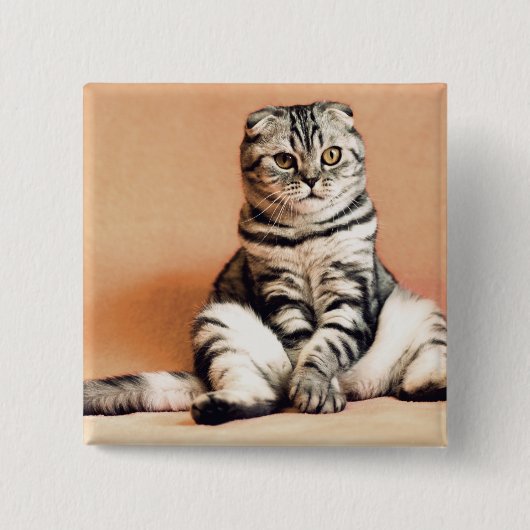 Cute Kitten Sprawout Vierkante Button 5,1 Cm (Voorkant)