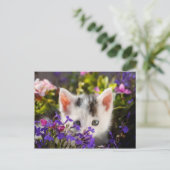 Cute Kitten Spring Briefkaart (Staand voorkant)